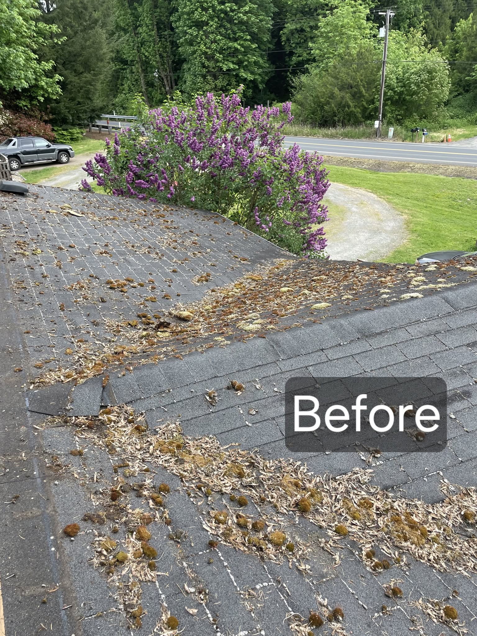Debris-covered shingles and moss before the new roof, with a blooming lilac along the eave