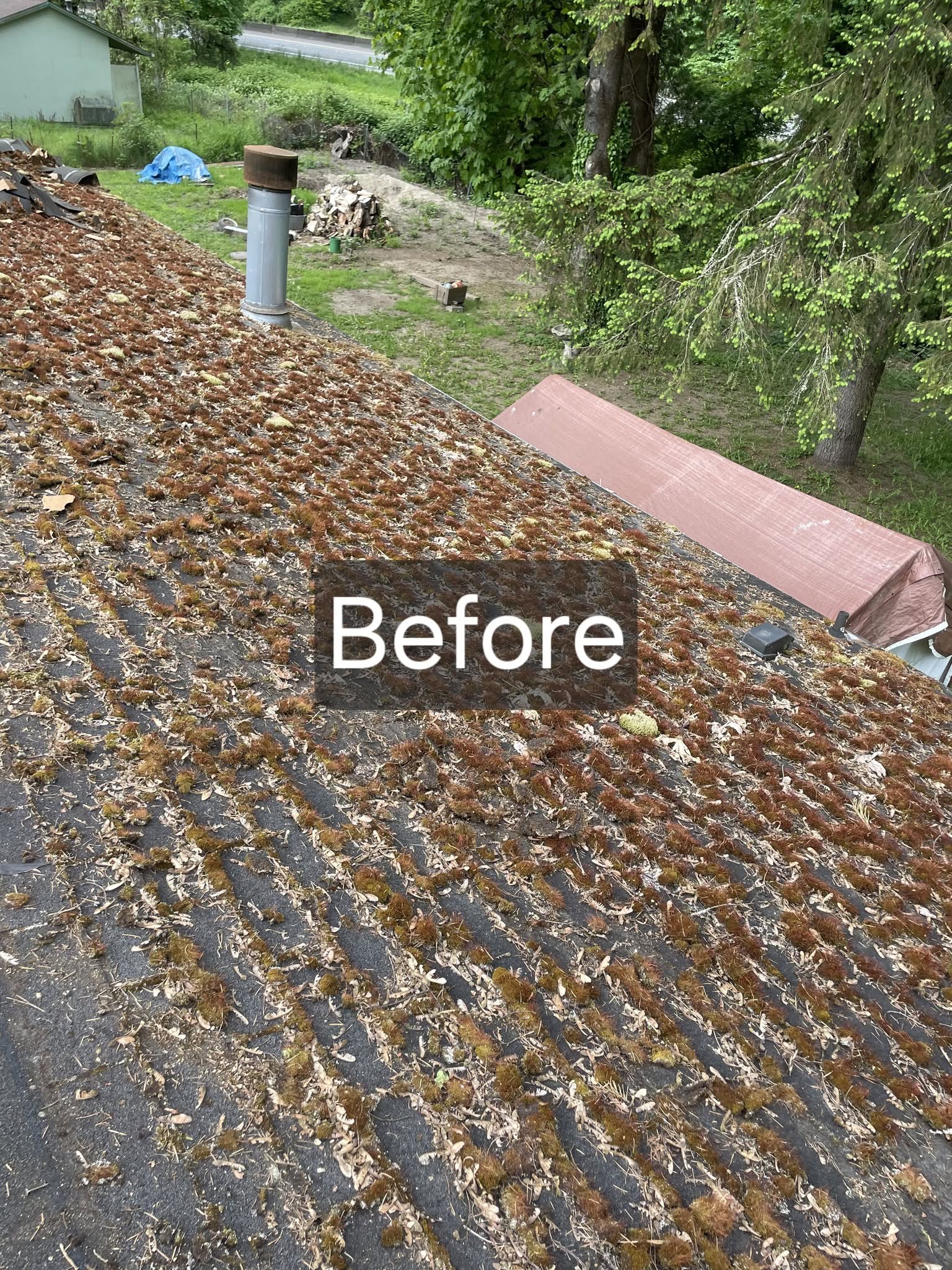 Old asphalt shingles buried under thick moss and debris before a full roof replacement